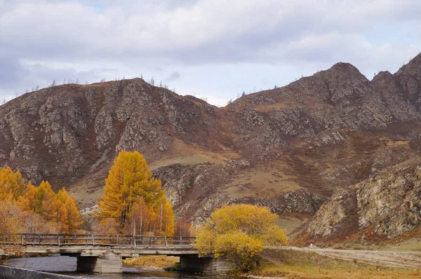 Beautiful View Way Chemal District Aktash Altai Russia — стоковое фото