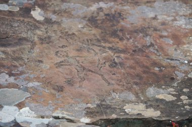 Petroglifler Kalbak-Tash, Rusya Federasyonu, av mahalline ile. Antik kaya resimlerinde Altay Dağları, Rusya Federasyonu.