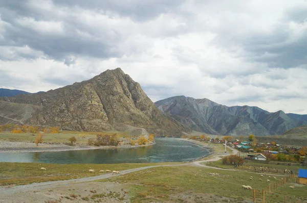 Vackra Berg Och Chuya River Altai Ryssland — Stockfoto