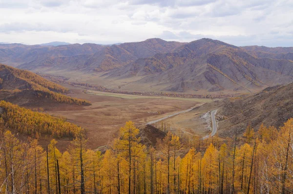 Úton Chemal District Aktash Altáj Oroszország Altaj Hegység Gyönyörű Kilátással — Stock Fotó
