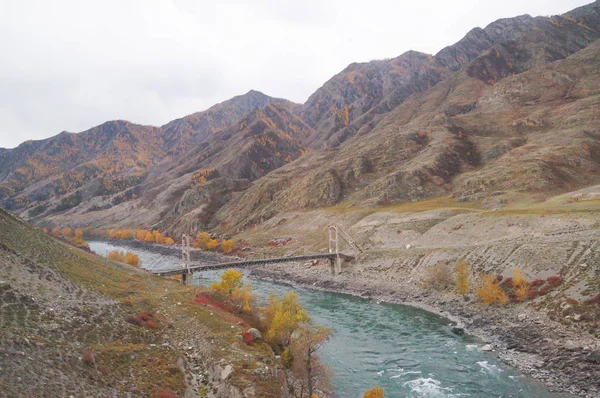 Beautiful Moutain Chuya River Altai Russia — Stock Photo, Image