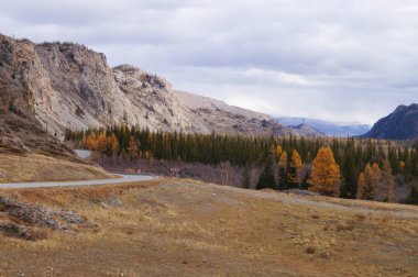Güzel bir altay altay, Rusya Kurai Valley yakınındaki dağ manzarası.
