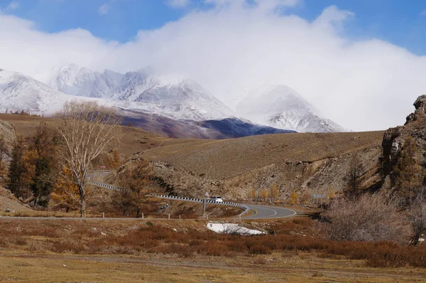 Gyönyörű Kilátás Nyílik Altaj Hegység Közelében Kurai Völgyben Altáj Oroszország — Stock Fotó