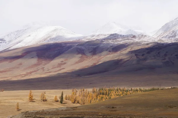 Bela Vista Vale Kurai Outono Altai Rússia — Fotografia de Stock