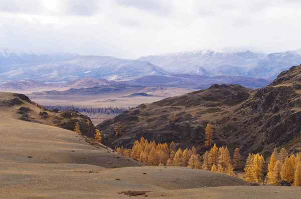 Bela Vista Vale Kurai Outono Altai Rússia — Fotografia de Stock