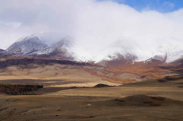 Kurai Valley Güzel Manzarasına Güz Altay Rusya Federasyonu — Stok fotoğraf