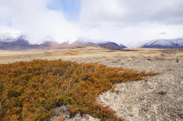 Schöne Aussicht Auf Das Kurai Tal Herbst Altai Russland — Stockfoto