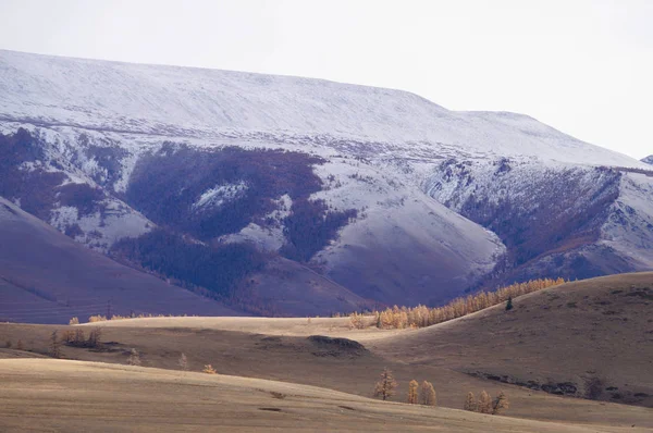 Όμορφη Θέα Στην Κοιλάδα Kurai Φθινόπωρο Αλτάι Ρωσία — Φωτογραφία Αρχείου