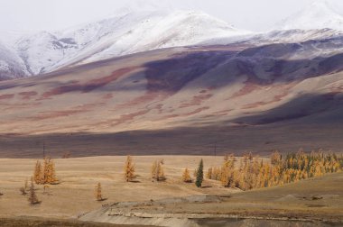 Kurai Valley güzel manzarasına Güz, altay, Rusya Federasyonu.