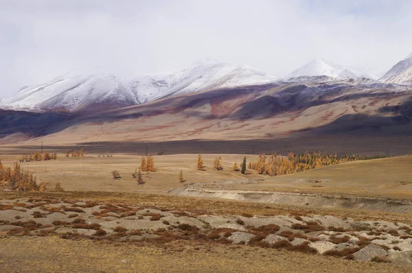 Bela Vista Vale Kurai Outono Altai Rússia — Fotografia de Stock