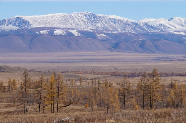 Morning Russia Chuysky 범위에서에서 Kurai 대초원은 Agach 지구의 알타이 공화국 — 스톡 사진