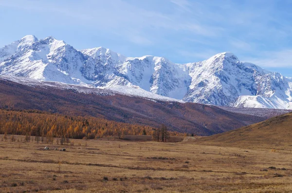 Wunderschöne Kurai Steppe Morgen Russland Das Nordtuysky Gebirge Ist Ein — Stockfoto