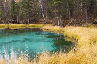 Güzel şofben Gölü ile mavi kil Güz, altay, Rusya Federasyonu.