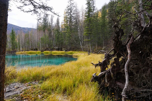 Schöner Geysirsee Mit Blauem Lehm Herbst Altai Russland — Stockfoto