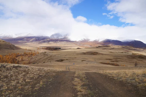 Kurai Valley Güzel Manzarasına Güz Altay Rusya Federasyonu — Stok fotoğraf