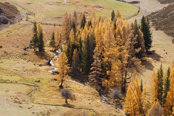 Schöne Aussicht Auf Das Kurai Tal Herbst Altai Russland — Stockfoto