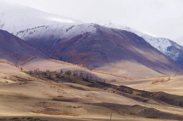 Bela Vista Vale Kurai Outono Altai Rússia — Fotografia de Stock