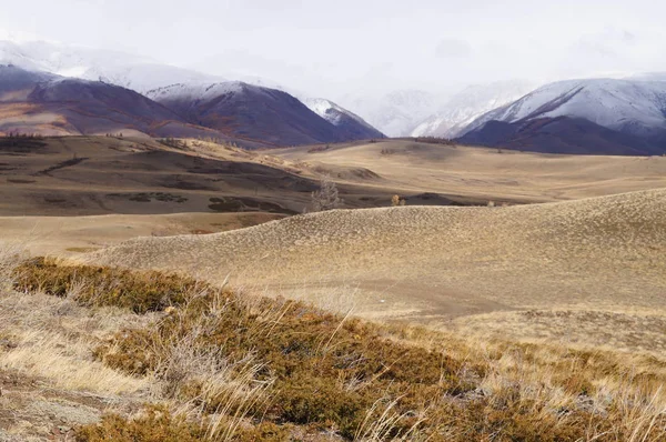 Schöne Aussicht Auf Das Kurai Tal Herbst Altai Russland — Stockfoto