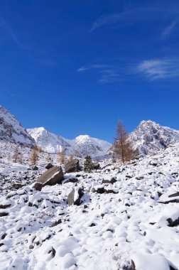 Aktru dağın sabah, altay, Rusya Federasyonu