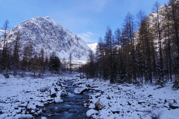 Aktru Mountain Morgonen Altai Ryssland — Stockfoto