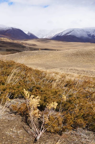 Bela Vista Vale Kurai Outono Altai Rússia — Fotografia de Stock