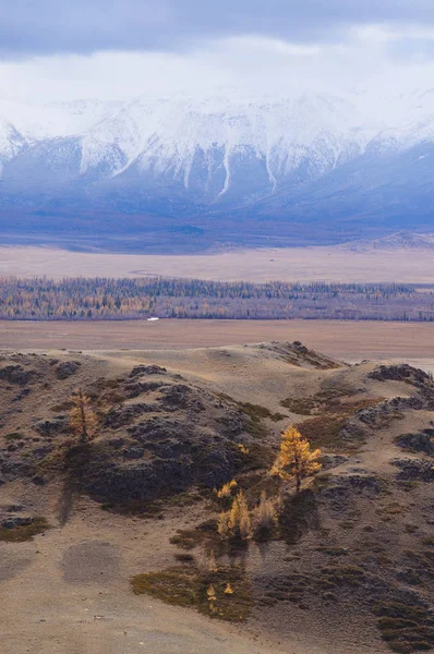 Beautiful Kurai Valley i höst, Altai, Ryssland. — Stockfoto
