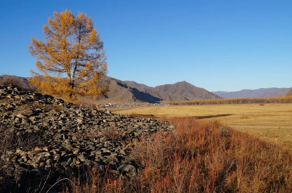 Gammal Begravning Mounds Karakol Valley Uch Enmek Park Altai Republic — Stockfoto