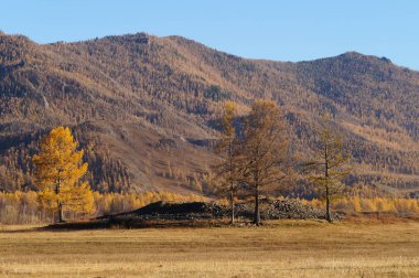 Antik mezar tepeleri Karakol Valley (Uch-Enmek park) altay Republic,Russia.Here Afanasiev, Karakol, İskit ve Türk kültürünün izlerini görebilirsiniz.