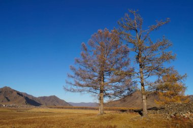 Altay Cumhuriyeti, Rusya (Uch-Enmek park) Karakol Vadisi'nin güzel manzara.