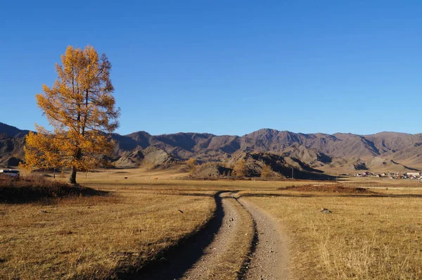 Vacker Utsikt Forntida Gravhögar Karakol Valley Uch Enmek Park Altai — Stockfoto