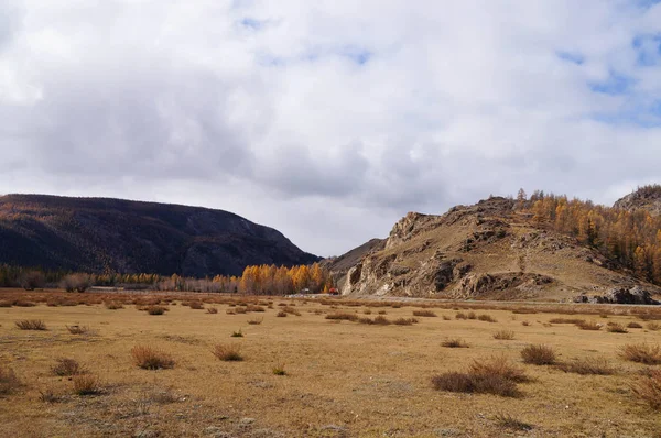 Schöne Aussicht Auf Den Altai Der Nähe Des Kurai Tals — Stockfoto