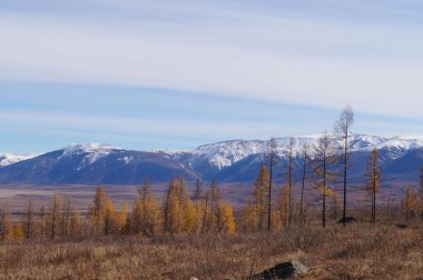 Güzel Kurai bozkır morning,Russia.The Kuzey - Chuysky aralığı içinde bir dağ Kosh Agach İlçesi Altay Cumhuriyeti, altay dağ, Sibirya, Rusya olduğunu.