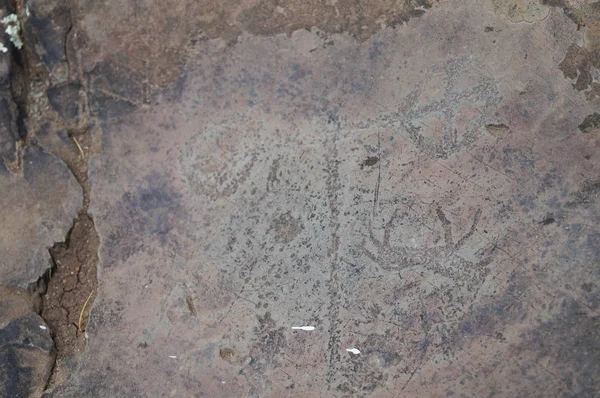 Petroglyphs Deer Elk Kalbak Tash Russia Ancient Rock Paintings Altai — Stock Photo, Image