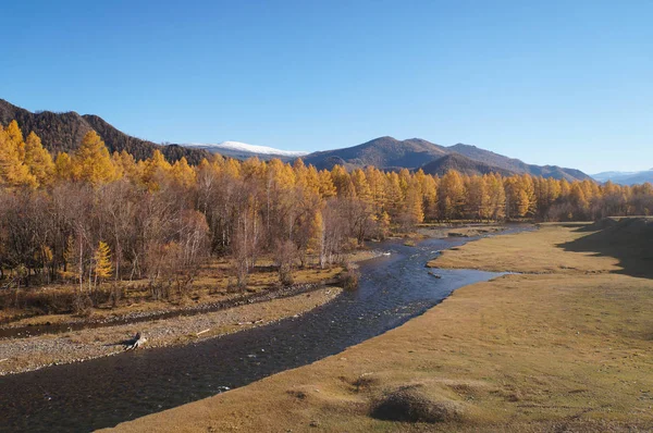 Karakol Valley Autumn Altai Republic Russia — стоковое фото