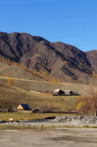 秋天在喀拉科尔山谷附近的美丽景色 阿尔泰共和国 俄罗斯 — 图库照片