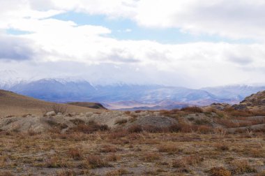 Kurai Valley güzel manzarasına Güz, altay, Rusya Federasyonu.