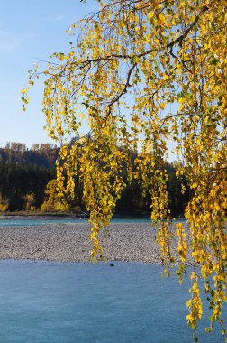Güzel görünümü'nde Katun Nehri Vadisi, Chemal district, Che Chyskh Kanyon altay, Rusya Federasyonu.