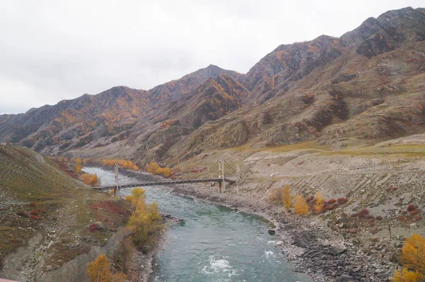 Beautiful Mountain Chuya River Altai Russia — Stock Photo, Image