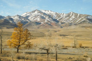 Harika bir manzara Kurai bozkır Altay Cumhuriyeti, Rusya yakın.