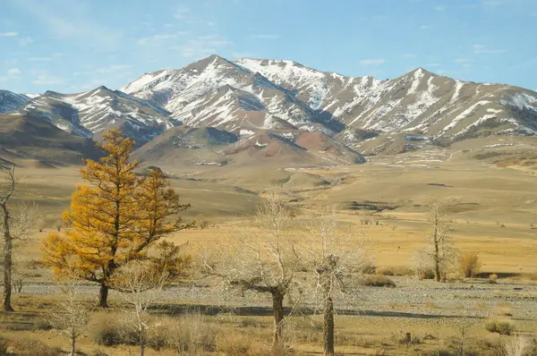 Harika bir manzara Kurai bozkır Altay Cumhuriyeti, Rusya yakın.