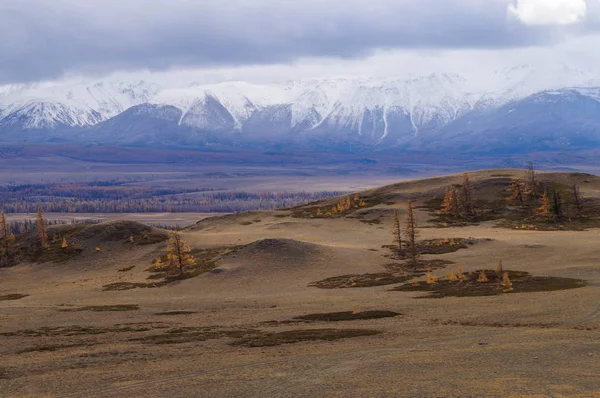 Vacker Utsikt Över Kurai Valley Höst Altai Ryssland — Stockfoto