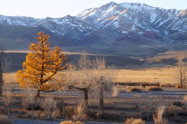 Harika bir manzara Kurai bozkır Altay Cumhuriyeti, Rusya yakın.
