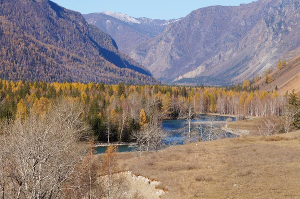 Gyönyörű Kilátás Ősz Altaj Köztársaság Oroszország — Stock Fotó