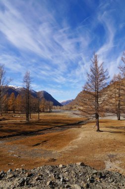 Harika bir manzara Kurai bozkır Altay Cumhuriyeti, Rusya yakın.