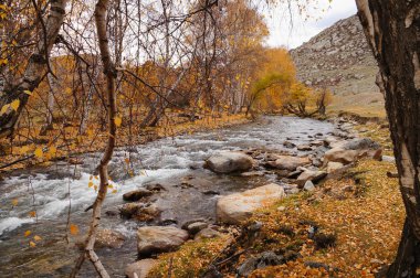 Aktash, altay, Rusya Chemal bölgesine giden yolda güzel kanal.