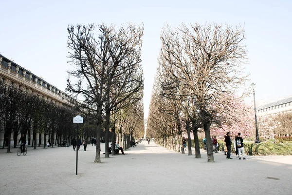 Jardín Francés Sol Primavera — Foto de Stock