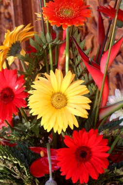 Sarı ve kırmızı papatya dekoratif kombinasyonu