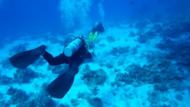 İki dalgıçlar birbiri ardına alt ve mercan, Red Sea, Mısır arka plan karşı izleyin