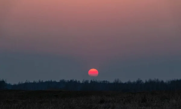 Sonnenuntergang Die Rote Sonne Geht Über Dem Wald Unter Zentrale — Stockfoto