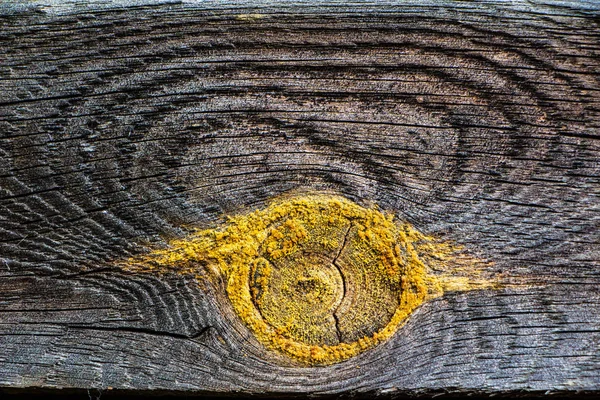 Zamknij Stary Szary Tekstury Drewna Węzłem — Zdjęcie stockowe